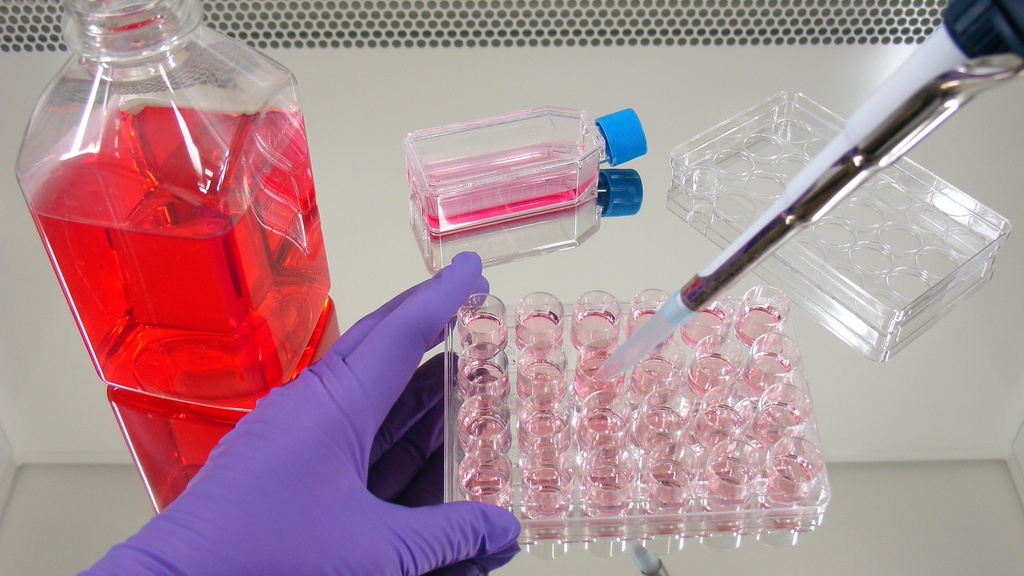 Dulbecco’s Phosphate Buffered Saline with Calcium and Magnesium, w/o Phenol red